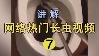 家中马桶惊现黑色毒蛇！上个厕所都能要人命｜网络热门长虫视频讲解【世界记忆大师龙雅】