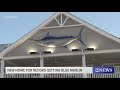 Record-breaking blue marlin gets new home