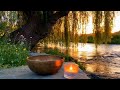 Tibetan Healing Bowls • Sunset River Serenity 🌿 Candlelight Meditation  | Deep Relaxation Music”