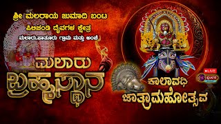 ಮಲರಾಯ ಜುಮಾದಿ ಬಂಟ ಪಿಲಿಚಂಡಿ ದೈವಗಳ ಕ್ಷೇತ್ರ ಮಲಾರು ಬ್ರಹ್ಮಸ್ಥಾನ ||ಕಾಲಾವಧಿ ಜಾತ್ರೆ|| ನಡುಬಂಡಿ||