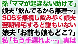 【スカッとする話】孫「ママが起きない助けて」娘夫「飲んでるから無理〜」SOSを無視し飲み歩く娘夫　翌朝帰宅すると誰もいない　娘夫「お前も娘もどこ？」私「もう手遅れよ…」実は