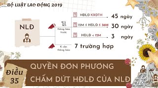 Điều 35. Quyền đơn phương chấm dứt hợp đồng lao động của NLĐ #Chương3 #BLLĐ2019 #Đọcluật #HĐLĐ