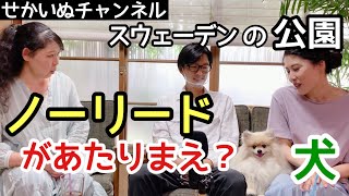 【日本の飼い主の憧れ】愛犬とノーリードで歩く散歩！スウェーデンの公園