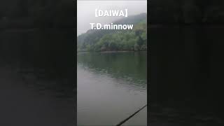 【DAIWA】T.D.minnow 【Bass Fishing】 #shorts