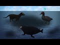 the 1989 exxon valdez oil spill explained tomonews