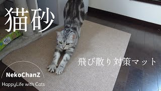 猫砂飛び散り問題、遂に終結なるか…！？【結局、猫次第かも】