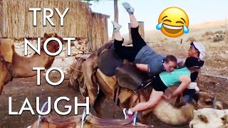 [2 HOUR] Try Not to Laugh Challenge! 😂 | Best Funny Fails of the Week | Funny s
