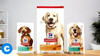 Hill’s Science Diet Weight Management Dog Food | Chewy