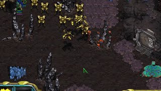 Starcraft: Protoss Missions 5:  Choosing Sides