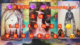 🔮紫靈塔羅🔮［香港占卜命理師］👌🏼三揀一！3月14日嘅滿月🌕會有咩好事發生？😍