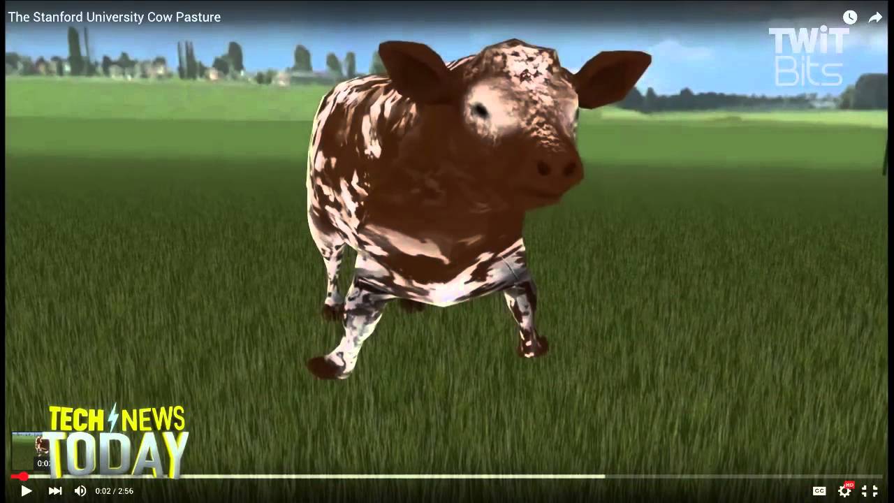 What Is Cow Virtual Reality? - YouTube