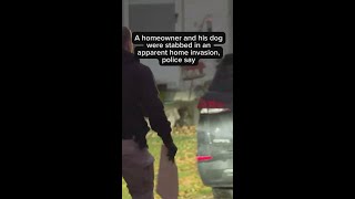 Homeowner, dog stabbed in apparent home invasion
