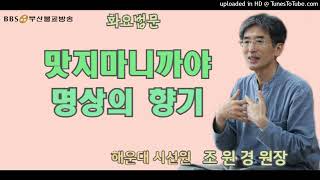 맛지마 니까야 명상의 향기(사자후 작은 경)-해운대시선원 조원경원장(240227)