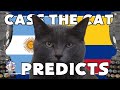 COPA AMERICA 2024 FINAL PREDICTION - ARGENTINA vs COLOMBIA CASS THE CAT