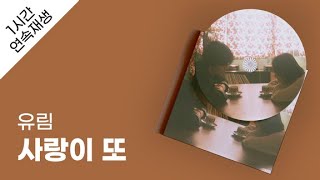 유림 - 사랑이 또 1시간 연속 재생 / 가사 / Lyrics