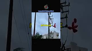 This One Balloon Caused a City-Wide Blackout #shorts #experiment