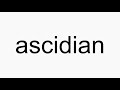 How to pronounce ascidian