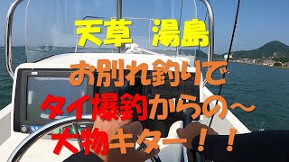 天草湯島　お別れ釣りでタイ大爆釣からの～大物！