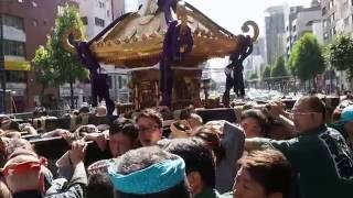 東京　四谷　須賀神社　例大祭　本社神輿渡御　２０１６．６．５