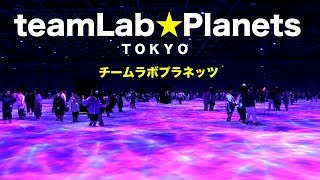 チームラボプラネッツに行こう！teamLab Planets TOKYO