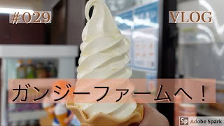 #029 ガンジーファームへ！VLOG