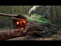 Building a Warm and Cozy Hollow for Survival, in the root of a fallen spruce. Secret cave, Bushcraft