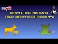 Sains Tahun 2: Haiwan Menyerupai Induknya dan Tidak Menyerupai Induknya #cikgooTube #CikguZoul