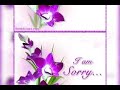 Bigjazzy_Nof_-_Sorry (Official Audio)