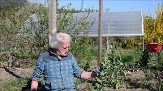 Le Potager du Paresseux : Didier, cest quoi ce bordel ?