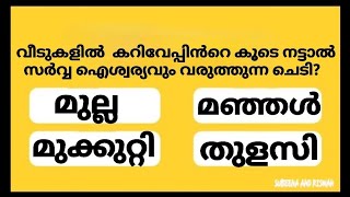 കറിവേപ്പിൻറ കൂടെ വളർത്തിയാൽ കോടീശ്വര യോഗം ഉറപ്പാണ് /GENERAL KNOWLEDGE/QUIZ/CURRENT AFFAIRS/PSC EXAM👍