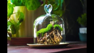 grow moss on rock: make a simple greenery on cliff-like rock.