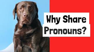 Why Share Pronouns?