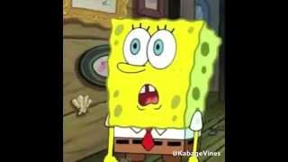 Top 5- Deez Nuts SPONGEBOB