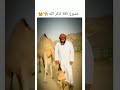 خشوع ناقه🐪 لسماعها زكر الله☝️وبكاء الشيخ 😔