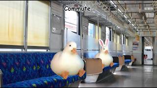 Working 9 to 5 (explained by ducks)