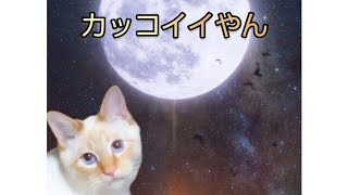 【飛騨高山の坂本】㈱坂本の会社紹介動画(ちょっとだけ)　