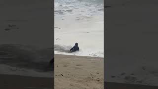 ⚠️WARNING! Cannon Beach Oregon king tides are back.