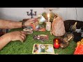 who ll be your future spouse.... pick a card tarot reading