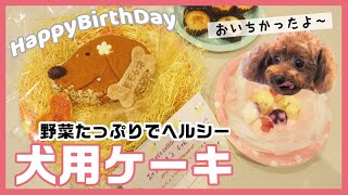 祝６歳★モモちゃんのお誕生日を犬用ベジタブルケーキで皆でお祝いしました！【ペピイチャンネル】