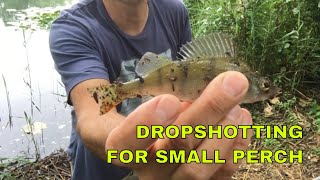 Drop shotting for small perch on a stormy day