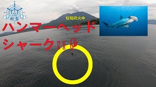 鹿児島錦江湾船釣り(1/2)