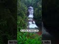 3 tier fall Wei Sawdong in Cherrapunji, Meghalaya #incredibleindia #travelshorts #firstshortvideo