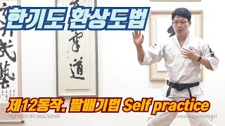 한기무예 환상도법 제12동작- 팔배기법