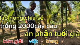 lão nông chia sẻ trồng cau