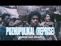 Puzhupulikal Reprise (slowed and reverb) | Evugin | Kammatipaadam