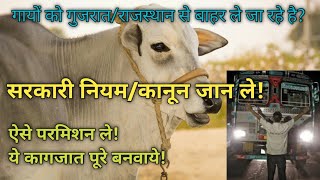 गाय को दूसरे राज्यों में ले जाने के लिए, ये कागजात जरूरी|Cow/Bovine Transport govt. rules