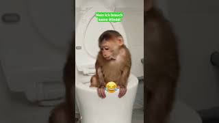 Affe geht auf Toilette 🤣 #viral #shortsviral #shortsfeed #monkey  #affen #shortvideo #shorts #short