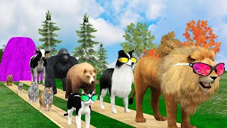 paint animals | Long slides Challenge | funny 3d animals | 5 Giant duck cartoon Gorilla, lion, Cow