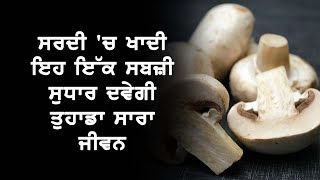 Winter 'ਚ ਖਾਦੀ ਇਹ ਇੱਕ Vegetable ਸੁਧਾਰ ਦਵੇਗੀ ਤੁਹਾਡਾ ਸਾਰਾ ਜੀਵਨ