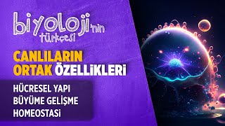 Canlıların Ortak Özellikleri - Hücresel Yapı - Büyüme Gelişme - Homeostasi | TYT Biyoloji | 9. Sınıf